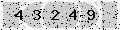 verify code