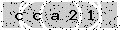 verify code