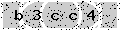 verify code