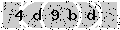 verify code