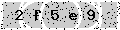verify code