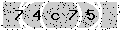 verify code