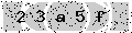 verify code