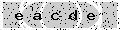 verify code