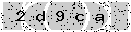 verify code