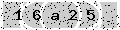 verify code