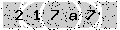 verify code