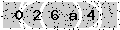 verify code