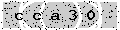 verify code