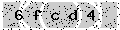 verify code