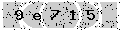 verify code