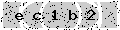 verify code