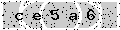 verify code