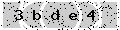 verify code