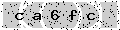 verify code