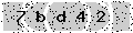 verify code