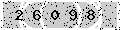 verify code