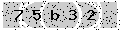 verify code