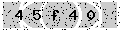 verify code