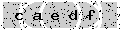 verify code