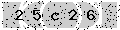 verify code