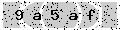 verify code
