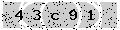 verify code