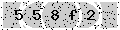 verify code