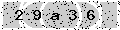 verify code
