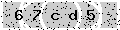 verify code