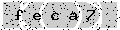 verify code