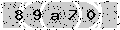 verify code