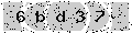 verify code