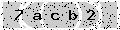 verify code