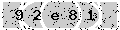 verify code