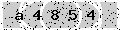 verify code