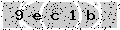 verify code