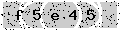 verify code