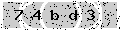 verify code