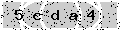 verify code