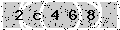 verify code