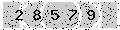 verify code