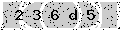verify code