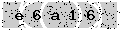 verify code