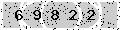 verify code