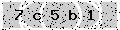 verify code