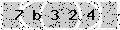 verify code
