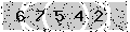 verify code