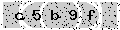 verify code