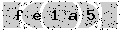 verify code